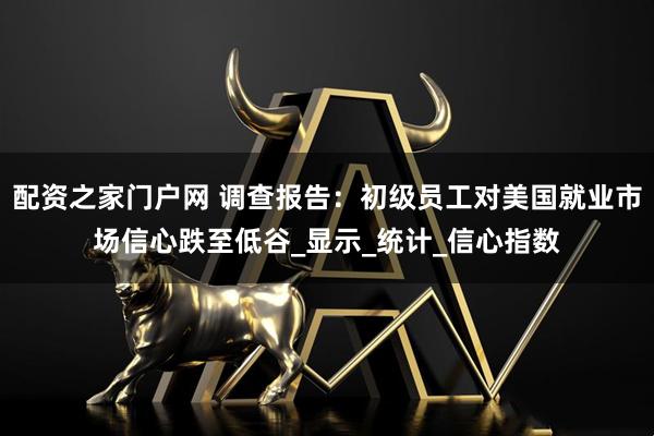 配资之家门户网 调查报告：初级员工对美国就业市场信心跌至低谷_显示_统计_信心指数